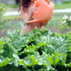 Illustration for article titled World Naked Gardening Day (NSFW)